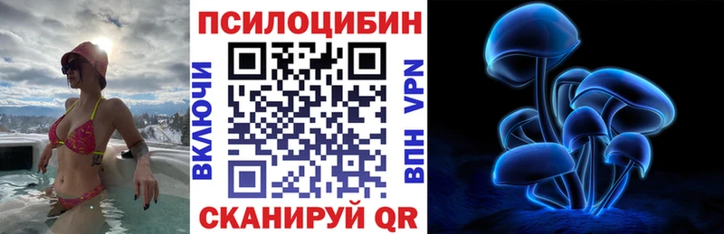 OMG ТОР  закладка  Всеволожск  Галлюциногенные грибы прущие грибы 